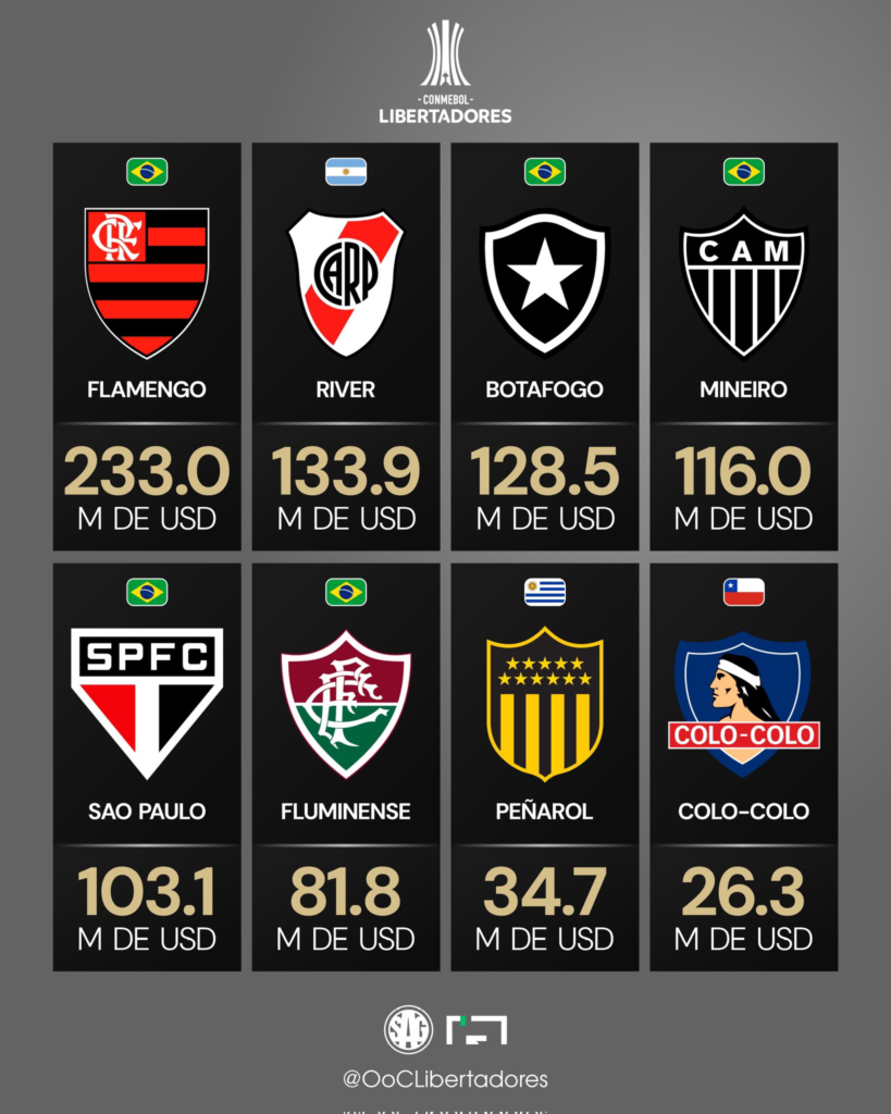 colo colo en la copa libertadores
