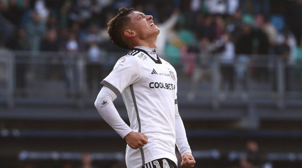 oferta argentina por zavala